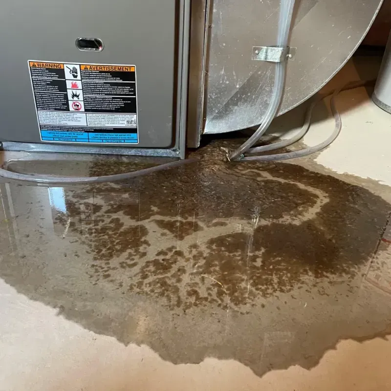 Appliance Leak Cleanup in Meads, KY